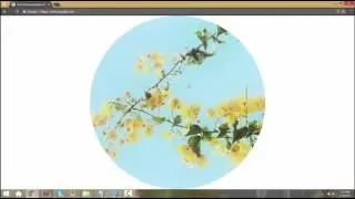 How to Use CSS3 vh to Resize Images According to Your Browser’s Height