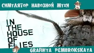 Убийца Мух [Fly in the House]