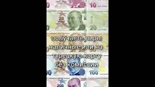 как сэкономить на переводе денег из России в Турцию