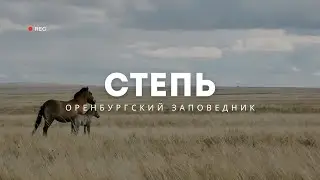 СТЕПЬ. Оренбургский Заповедник, Предуральская степь