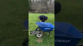 How to grow green grass. Love, Dad 😁