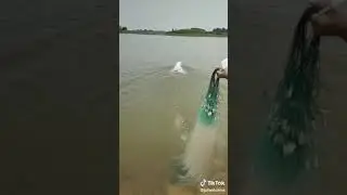 Как поставить сетку одному без палева!