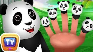 Finger Family Panda Song - Kids Songs and Learning Videos - ChuChu TV Classics 