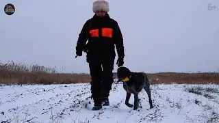 Охота на косулю.  Море косули.  Часть 2