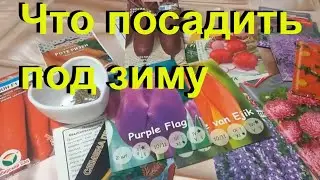 Что можно посеять под зиму на ранний урожай. Как и когда сеять под зиму.
