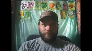 Почему после пьянки мучает совесть, на душе страшно и тоскливо?