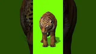 Exclusive Vfx  Green Screen of a Tiger's Meal in Multiple Views | Chromatic Cinema