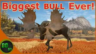 The Biggest Diamond Moose I've Ever Seen! Call Of The Wild