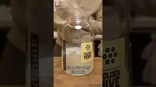 Can I make wine with my ginger bug?
