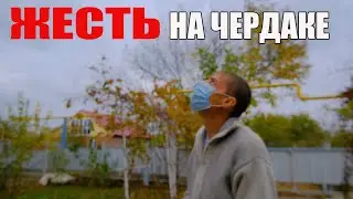 ЛУЧШЕ-БЫ МЫ ТУДА НЕ ЗАЛАЗИЛИ.ИЗ ГОРОДА В ДЕРЕВНЮ  351 серия