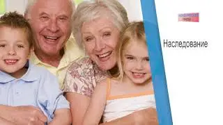 Юридическая Среда на ОПЛОТ-ТВ: Наследование