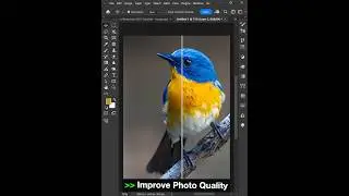 Adobe Photoshop 2025 Tips - How to Improve Photo Quality 
