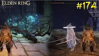 Espíritu Ancestral Majestuoso Y Lagrima Mimética ELDEN RING | The Jeg 
