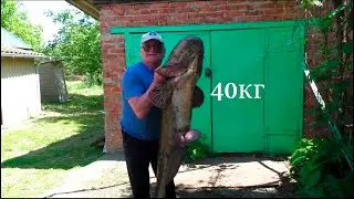 Нарезка лучших уловов на кастинговую сеть СибКаст