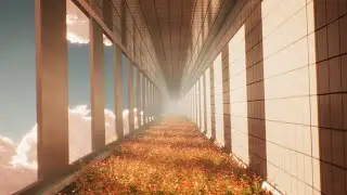 grassrooms