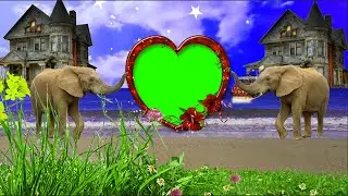 Green Screen Love green screen video Animated full HD video || Black and White Wedding HD effect
