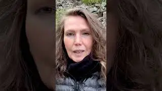 Библейская история о дереве познания добра и зла. 