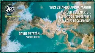 Aumento de temperatura en el Golfo de California ¿El peor escenario? 