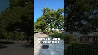Hiroshima Tree 