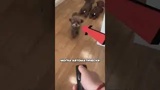 Робот собака лучше настоящей 🥰