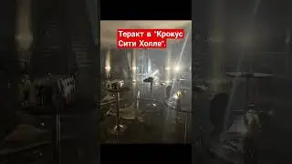 Теракт в "Крокус Сити Холле". Последствия трагедии