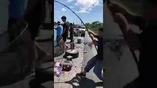 Wow !!! Mancing Mania dapat ikan super gede 🤤🤤