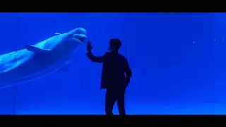 закадровое видео 🌌🎬 Ты прекраснее звёздного неба