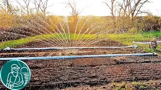 🔥 Аномальная жара +30°C в апреле 💦 Полив огорода осциллирующим дождевателем 🌱 Первые всходы