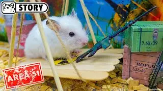 Hamster Stalker in the Area 51 👽 Homura Ham