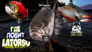 Русская рыбалка 4.🎣🦈 р. Яма 🐬🐋🐬💦 ГДЕ ЛОВИТ LATORSO 👀