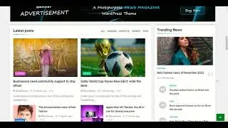 newsmatic WordPress theme customization