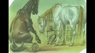 Рубрика: 
