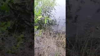 Самая простая снасть для ловли рыбы! Верша, ятерь, морда!!  Рыбалка 2023 (архив).