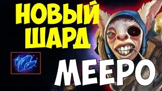 НУЖНО ЛИ ПОКУПАТЬ АГАНИМ ШАРД НА МИПО?/ФУЛ КАТКА НА #МИПО