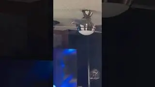 WATCH OUT FOR SNAKES IN THE ROOM 🐍 🐍 🐍 🏠😱😱😱😱😱😱😱😱😱😱😱😱😱 ЭТО УЖЕ СТРАШНО
