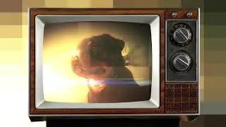 Телепрограмма УДИВИТЕЛЬНЫЙ МИР СОБАК / Russian TV-cast THE WONDERFUL WORLD OF DOGS