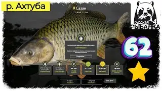 Russian Fishing4 #РР4...р.Ахтуба - Трофейный Сазан. Русская рыбалка 4.