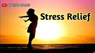Stress Relief music, Sleep music, Yoga music, Meditation Music
