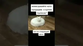 Кот пылесос 