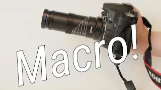 Insane Macro Photography! Venus Optics Laowa 25mm Macro Lens Review