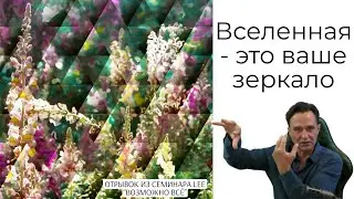 Вселенная - ваше зеркало | Отрывок из семинара 