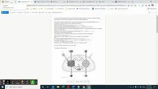 Walk-through photosynthesis