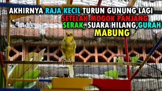 SABAR KUNCINYA | RK DARI SUARA HILANG, GURAH SAMPAI SEKARANG GACOR LAGI DAN SUDAH POIN !!??