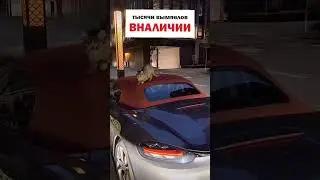 самая дорогая когтеточка для кота😄 