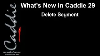 4 Delete Segment