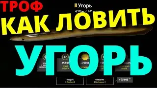 УГОРЬ КАК ЛОВИТЬ УГРЯ ОСТРОГ / ТРОФЕЙНЫЙ УГОРЬ + ТРОФ РОТАН 🔴 РУССКАЯ РЫБАЛКА 4 / Russian Fishing 4