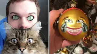 Забавно до дрожи!