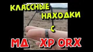 Search with the XP ORX metal detector on the Tract. Search Autumn 2021