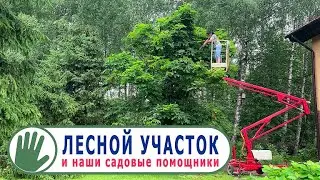 Видео журнал 