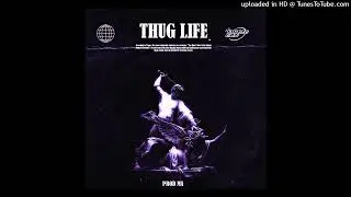 [FREE] LOOP KIT / SAMPLE PACK - THUG LIFE (Metro Boomin, 21 Savage, Travis Scott, Young Thug)